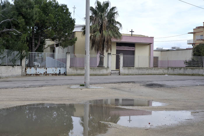 snfbari 05.jpg