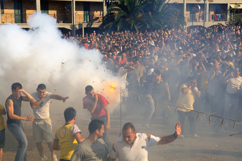 snfbari 05.jpg