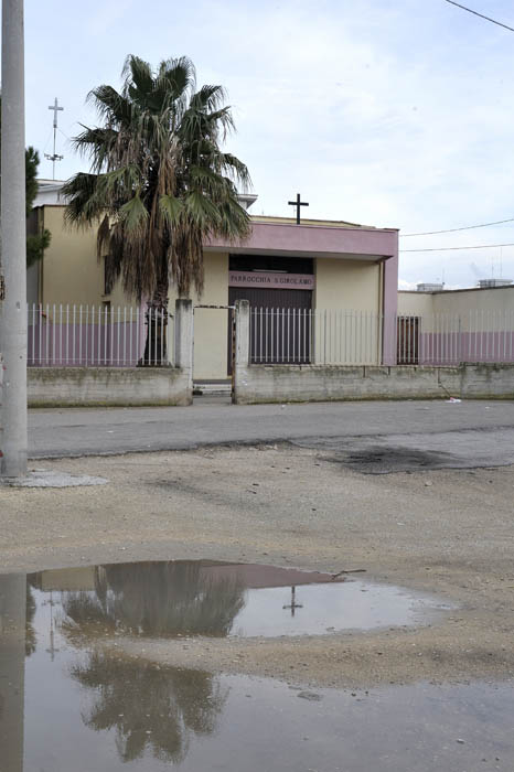 snfbari 06.jpg