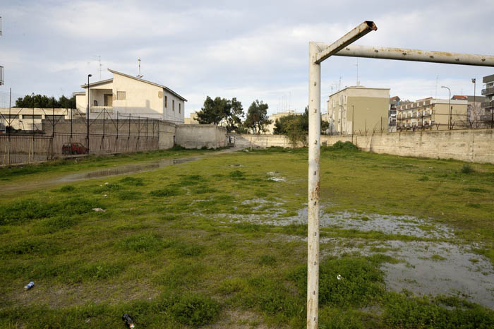 snfbari 08.jpg