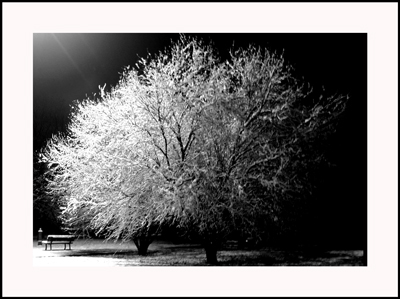 Snow-2-cor.jpg