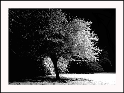 Snow-3-cor.jpg