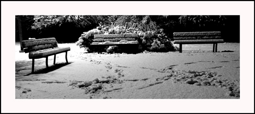 Snow-4-cor.jpg
