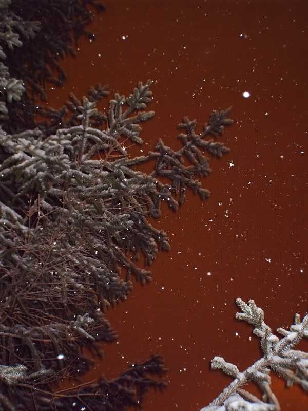 Snow2.jpg