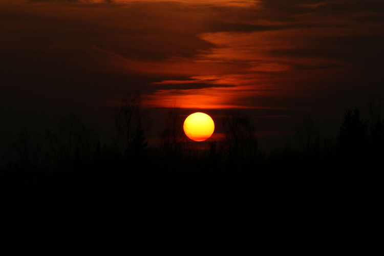 sole-2.jpg