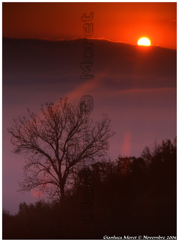Sole-alba-nebbie.jpg