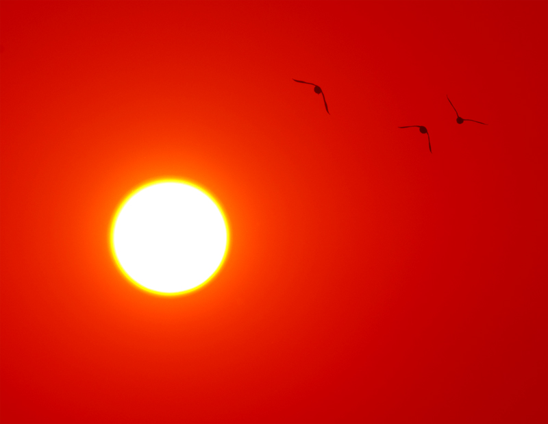 sole3.jpg