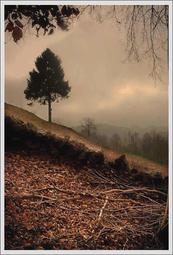 solitario-copia.jpg
