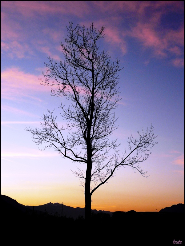 Solitario_02.jpg