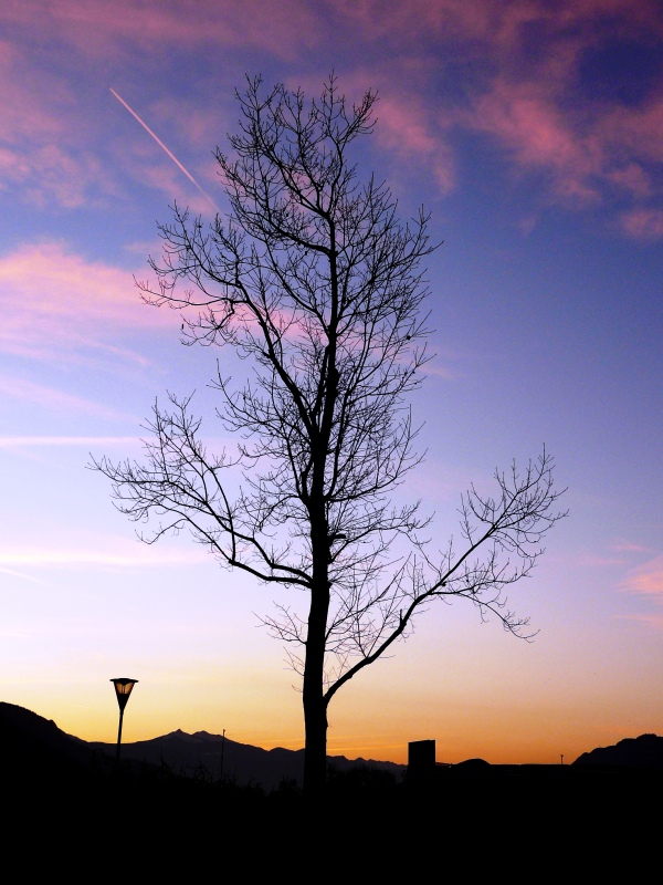 Solitario.JPG