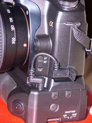 SONY A 100 4 bis.jpg