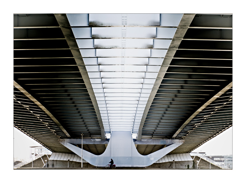 sottoponte bici rosa cl-1.jpg