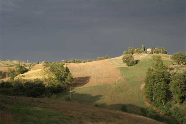 sovicciana-originale.jpg
