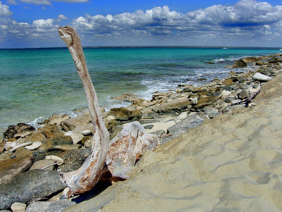 spiaggia-rivista.jpg
