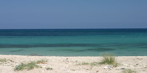 Spiaggia2_Polarizzazione_MAX.jpg