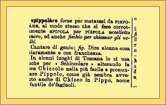 spipolare_02.jpg