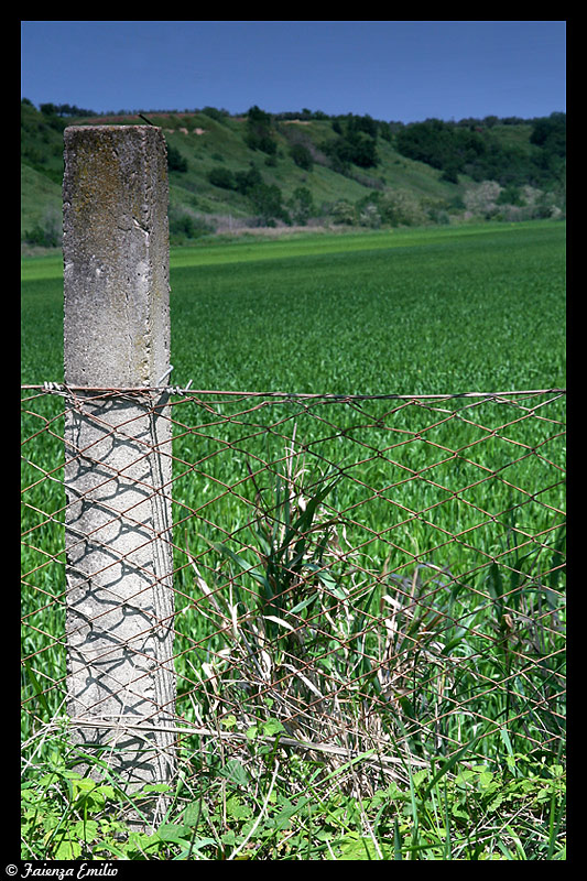 SPONDA-SANGRO-047.jpg