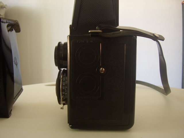 STA43539.JPG