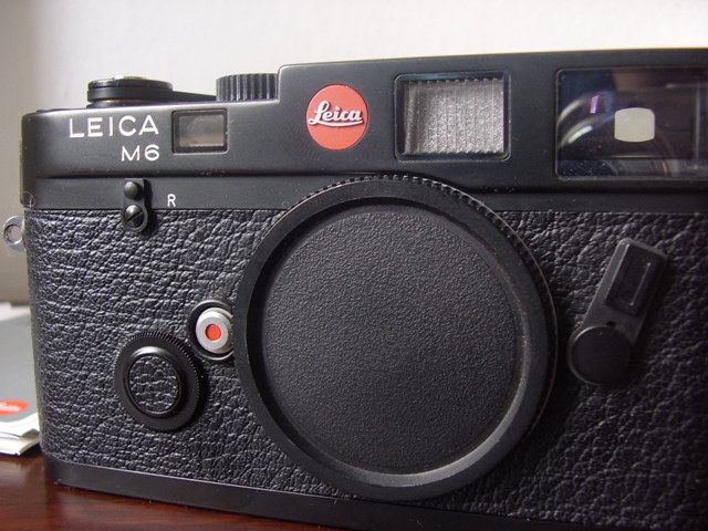 STA43937.JPG