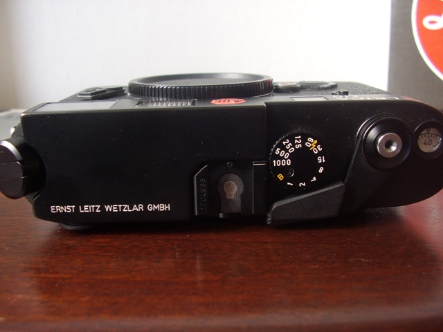 STA43949.JPG