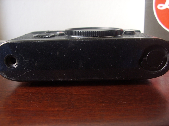 STA43950.JPG