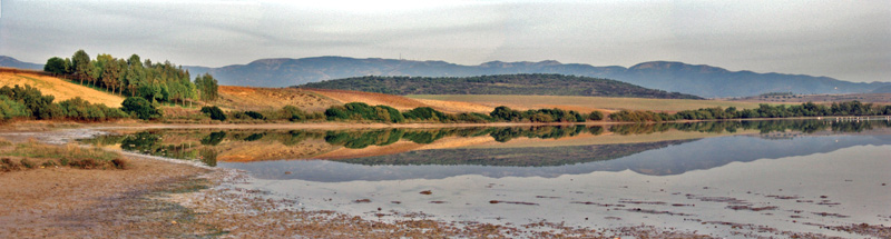 stagno.jpg