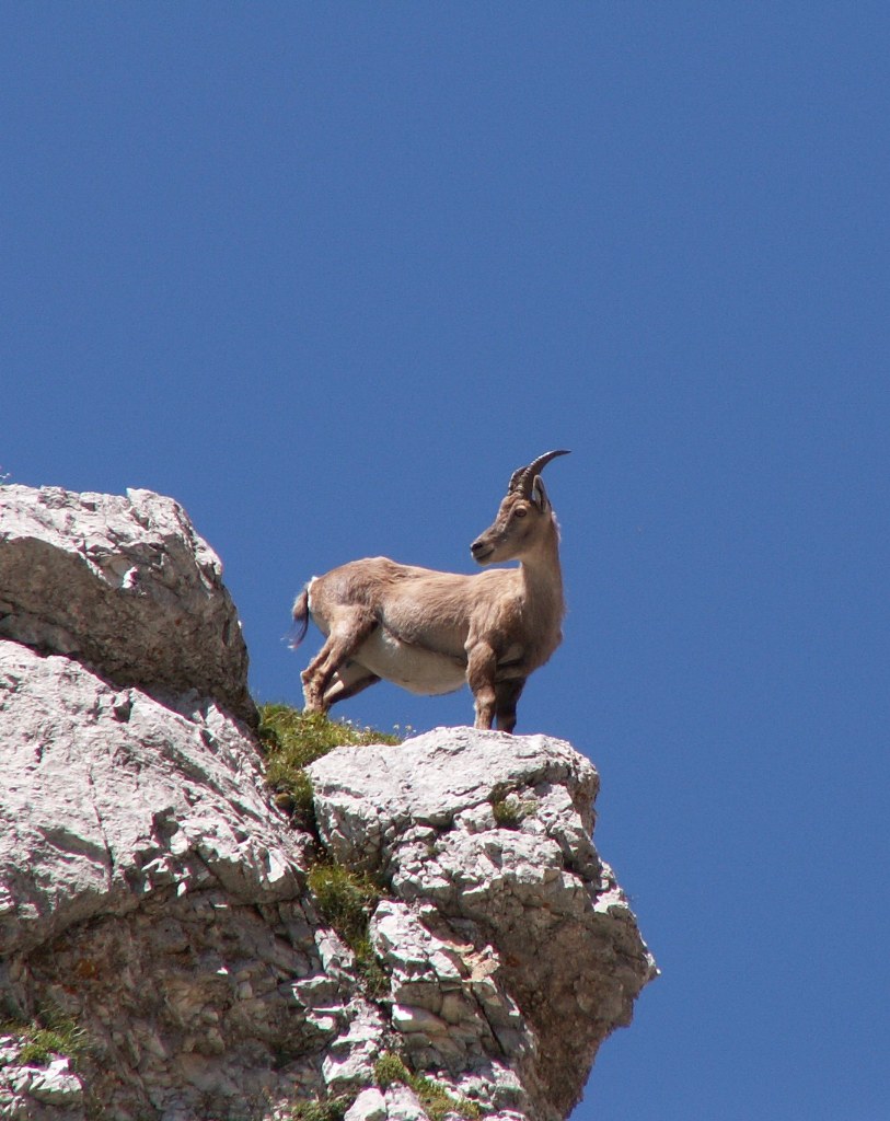 Stambi2.jpg
