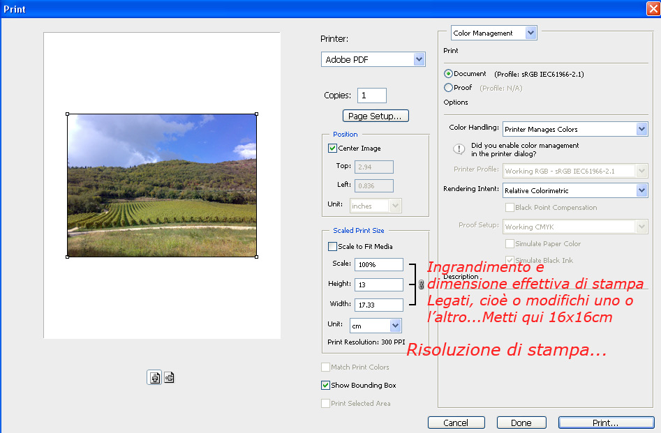 stampa.jpg