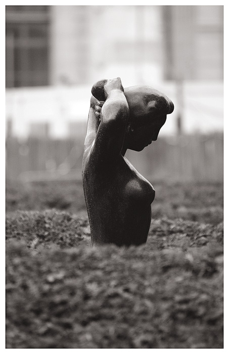 statua2.jpg