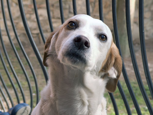 stella1.jpg
