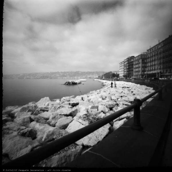 Stenopeika_Napoli_0003a.jpg