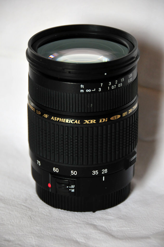 STF_4700.JPG