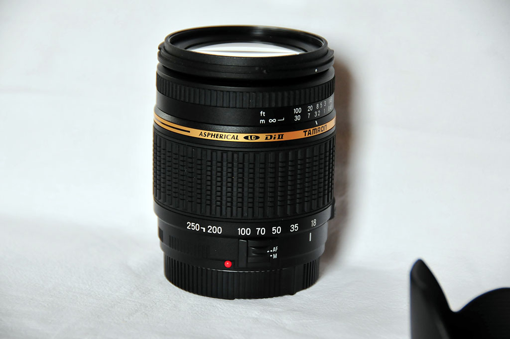 STF_4707.JPG