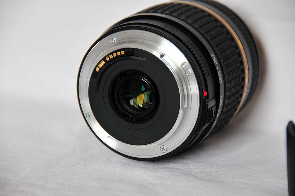 STF_4708.JPG