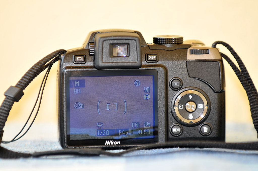 STF_9557.jpg