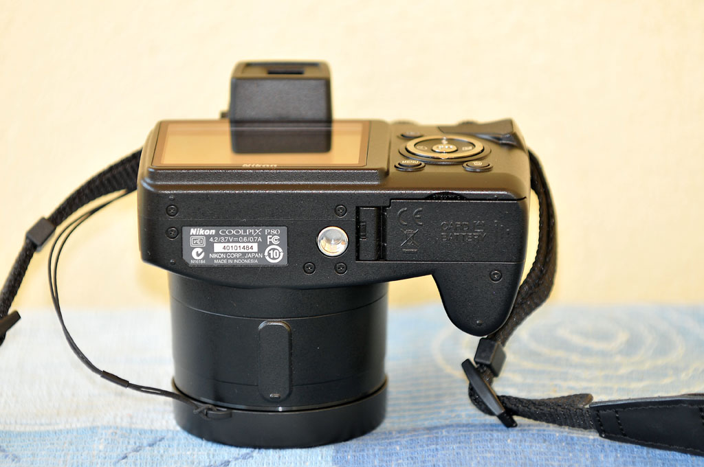 STF_9558.jpg