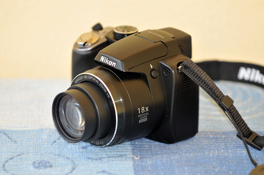STF_9559.jpg