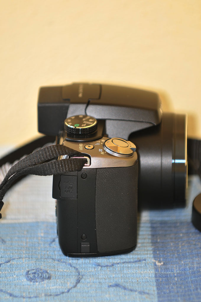 STF_9560.jpg