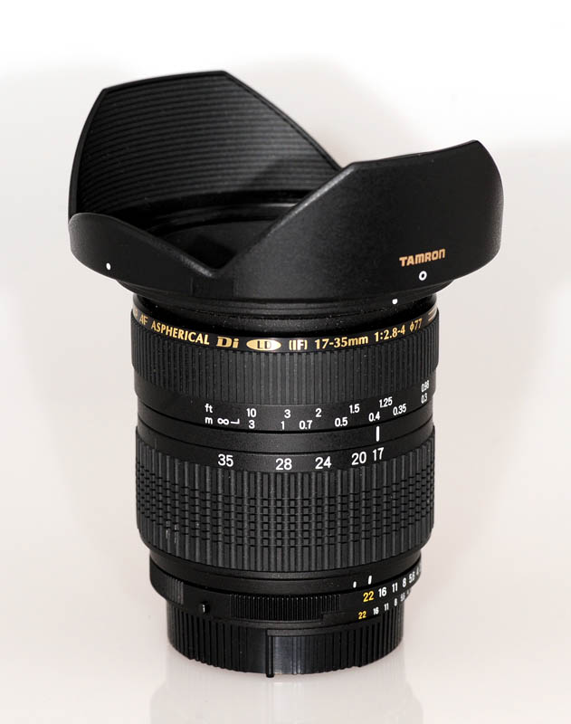 STF_9759.JPG