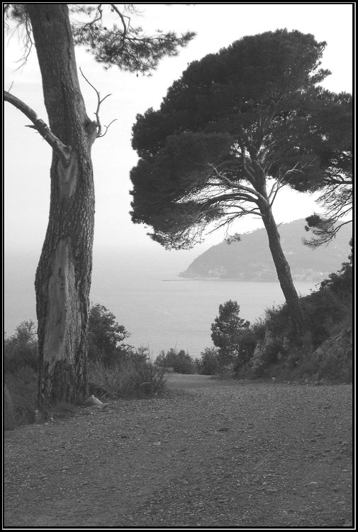 strada.jpg