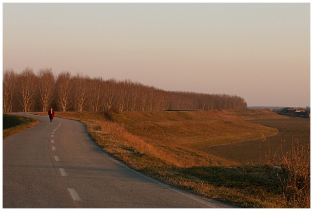 strada.jpg