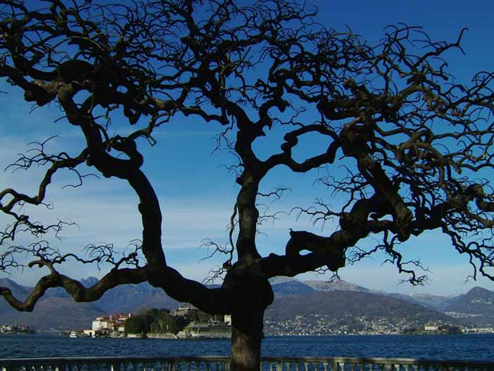 stresa b.jpg