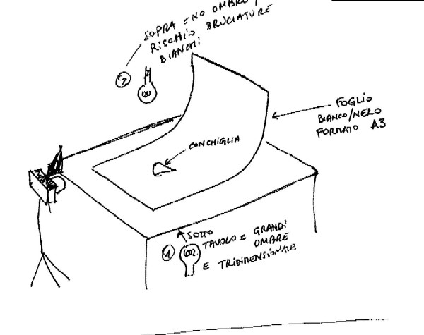 studio conchiglia.jpg