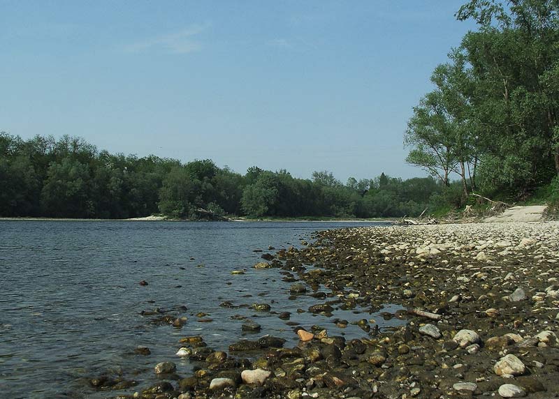 sul-greto-del-fiume1.jpg
