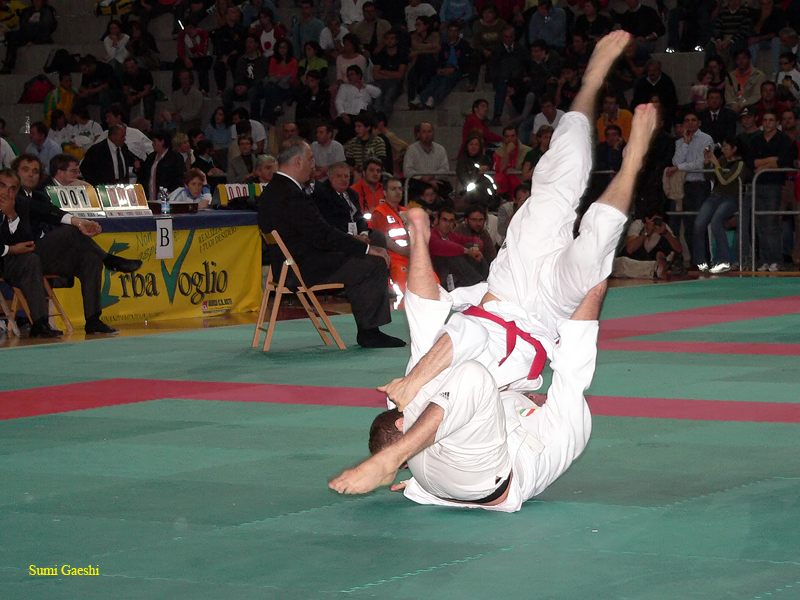 Sumi Gaeshi.JPG