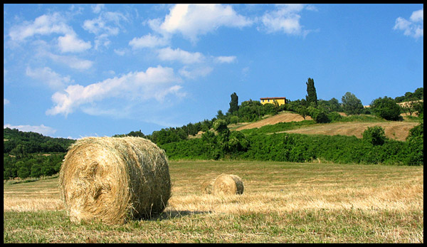 Summer-ridotta.jpg
