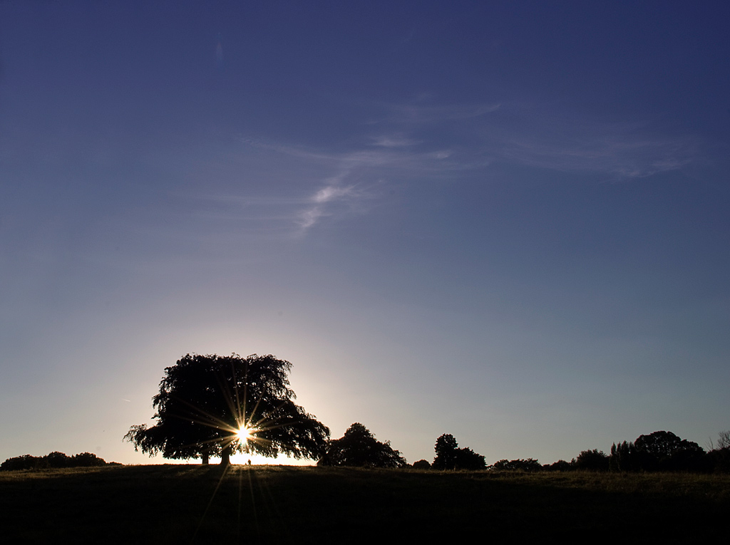 Sunset.jpg
