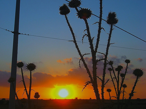 sunset.jpg