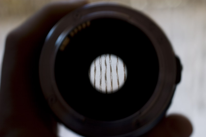 Super_Macro 060.jpg
