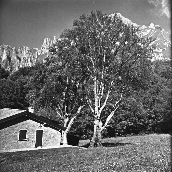 Superpan-1b.jpg
